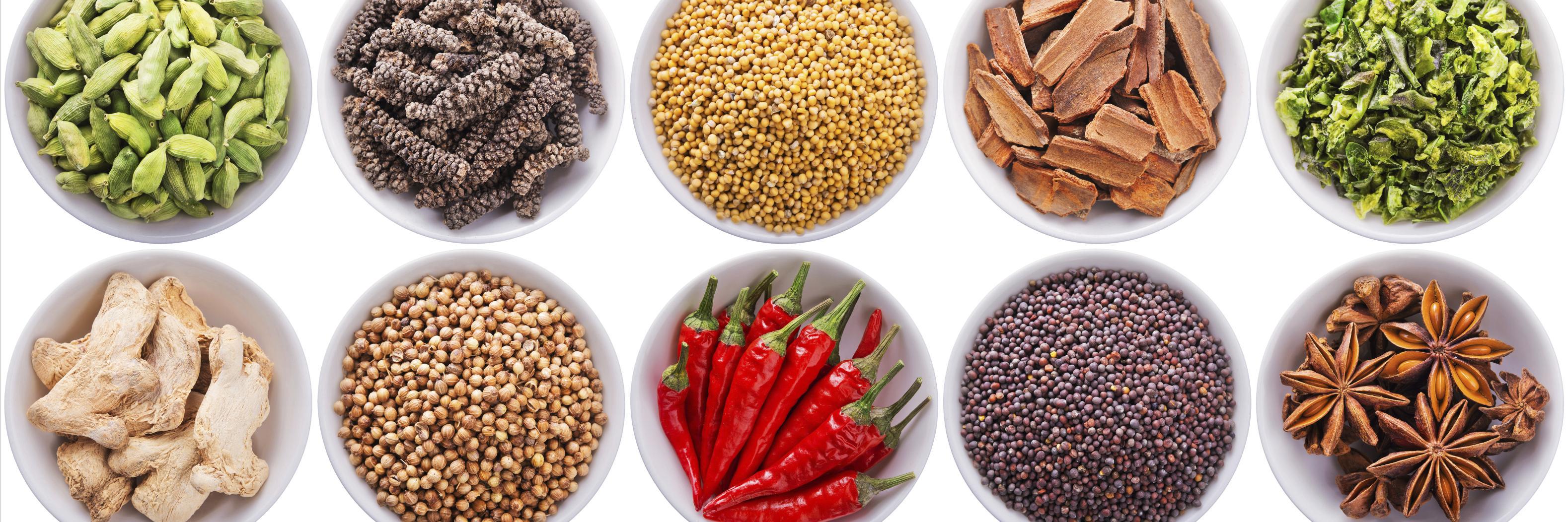 ISNeurogastro's profile banner image