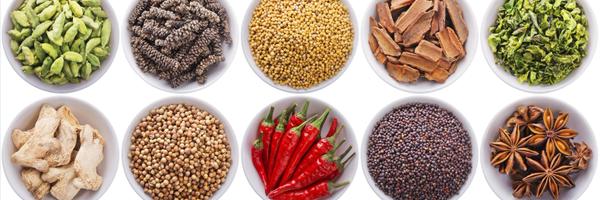 ISNeurogastro Profile Banner