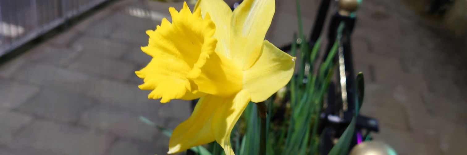 animal :) 🇺🇦☮️🇪🇺🇵🇸 💦💦💚🕯️ banner