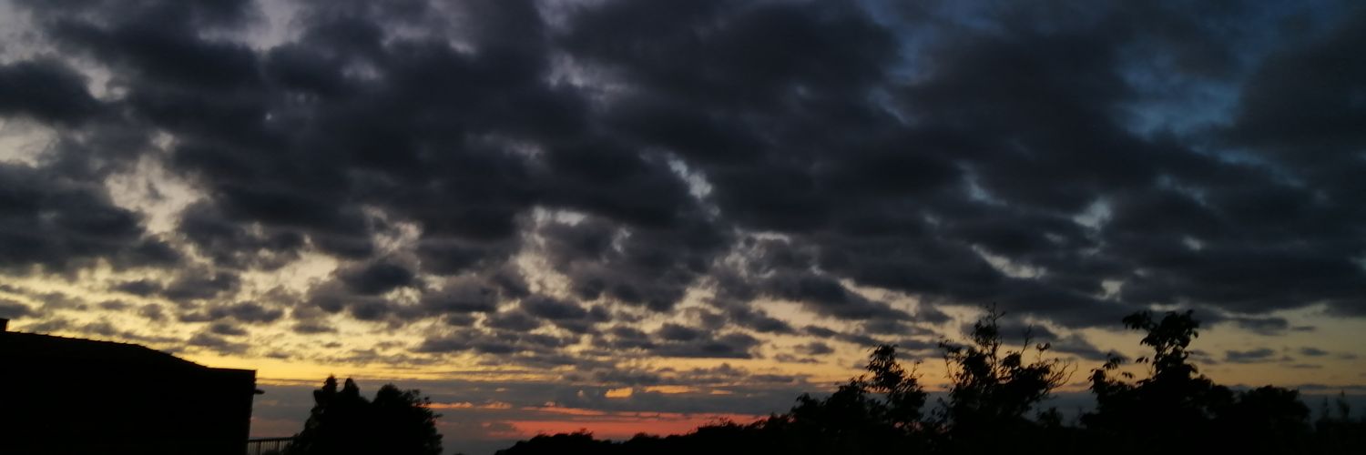 _im_ronnie_'s profile banner image