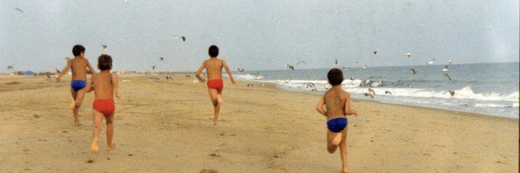 Fran Cantos Arana 🔻🌿 banner