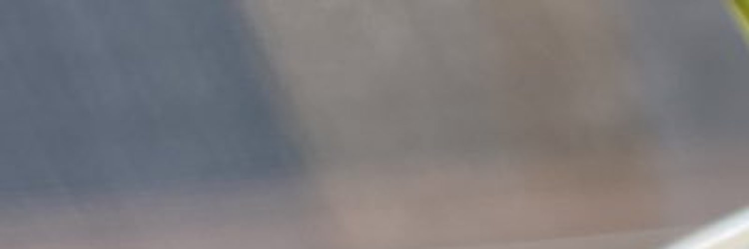 tauvan's profile banner image