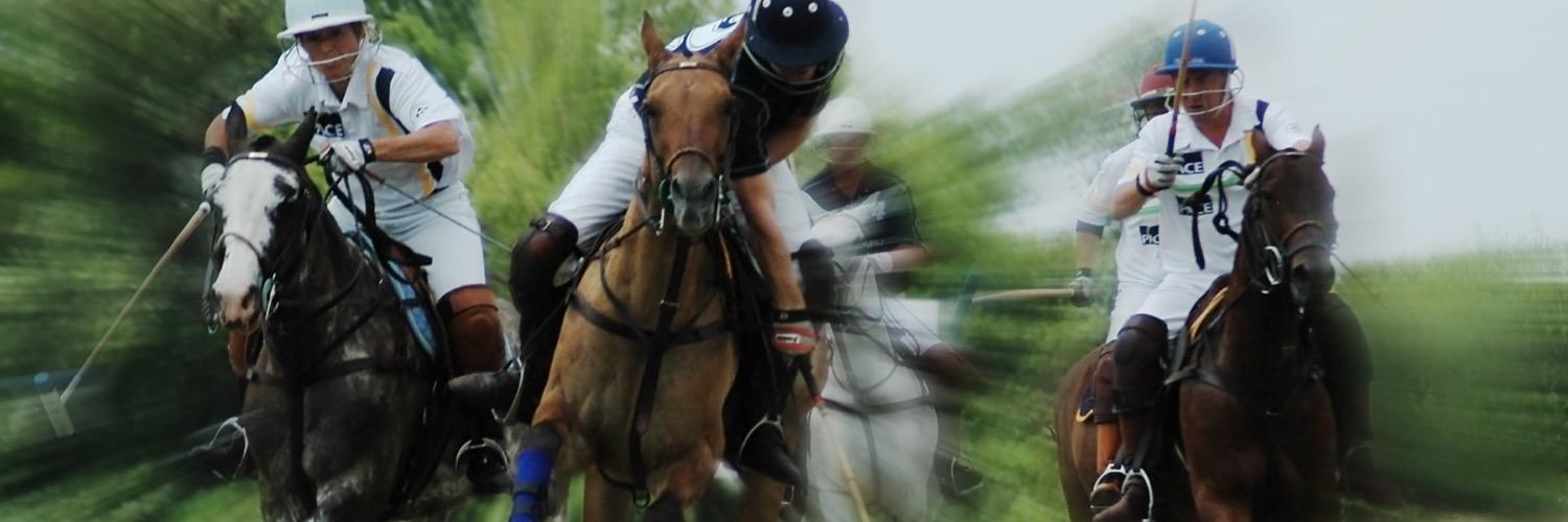 PrincleyPolo's profile banner image