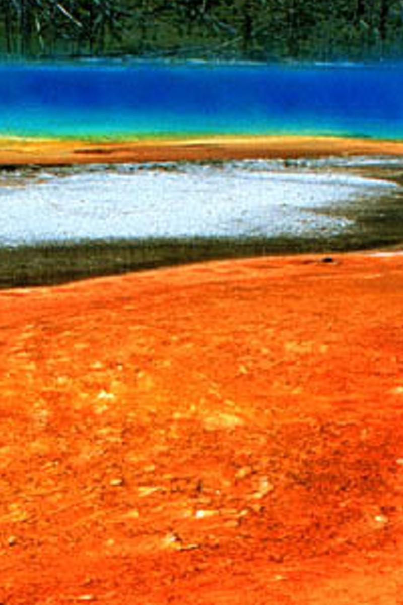 sunacepo's profile banner image