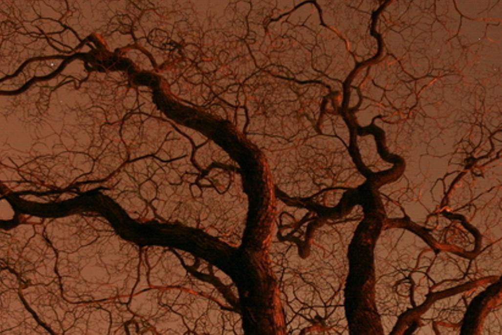 noreracode's profile banner image