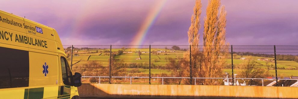 Alexandra Danecki banner