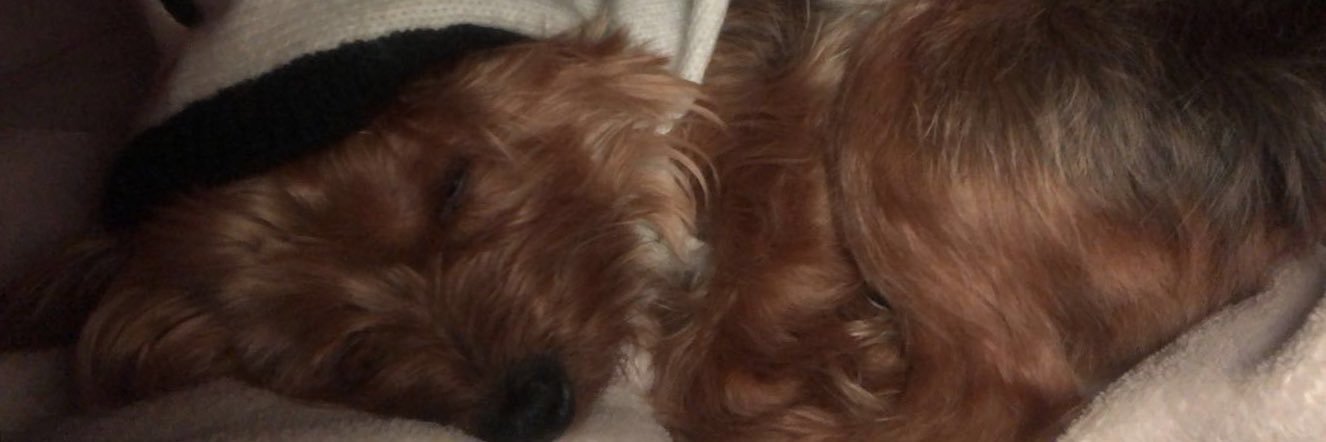 robyn_marie2's profile banner image