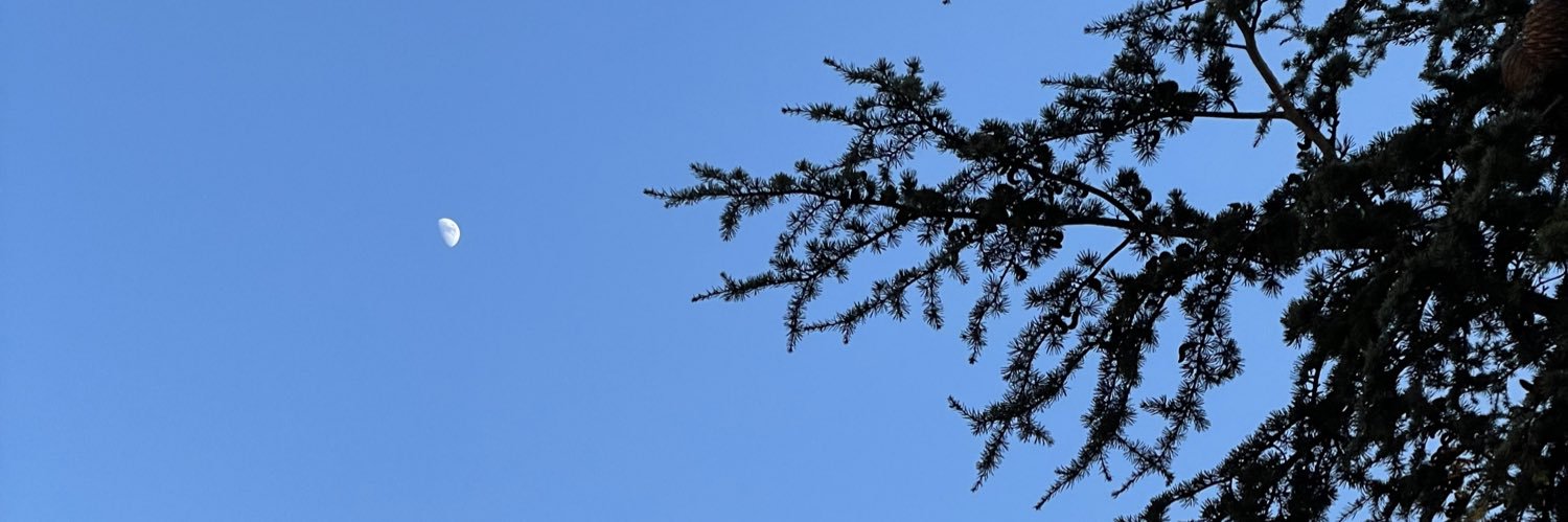 TitosAlison's profile banner image