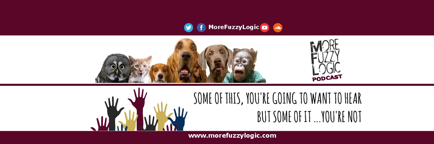 MoreFuzzyLogic's profile banner image