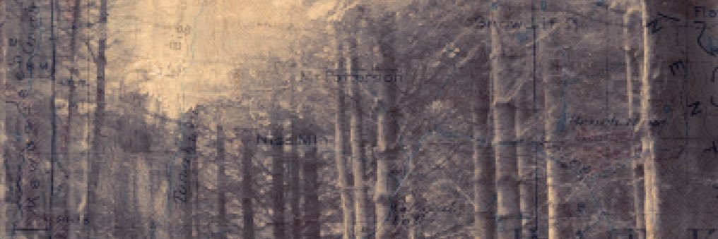Missing_411's profile banner image