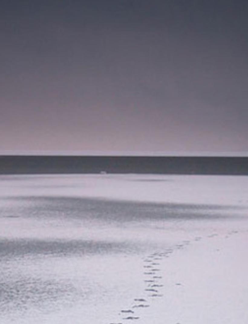 wisust's profile banner image