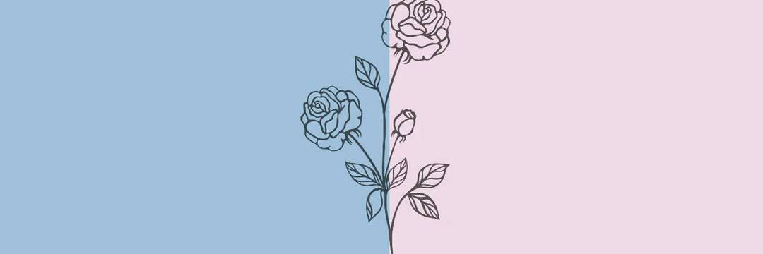 pakinora's profile banner image