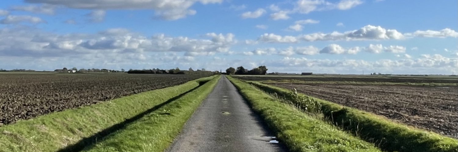 Andrew Jackson banner