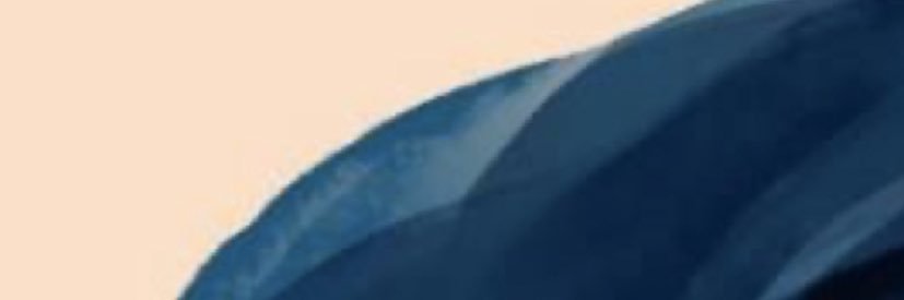 Cheney Ervin banner