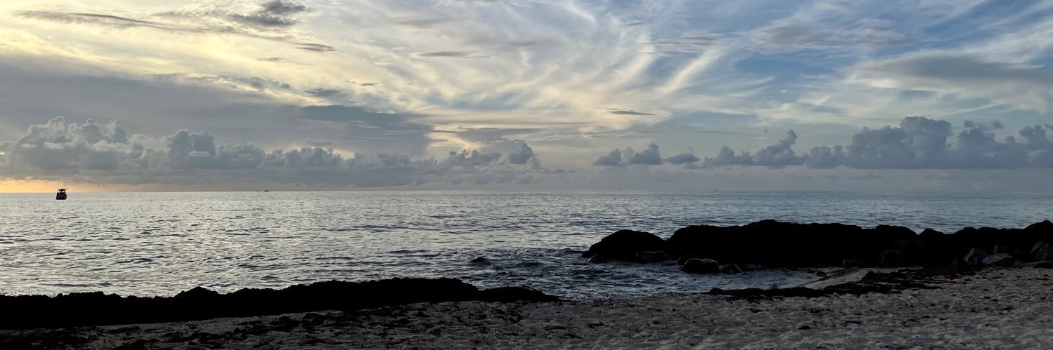 Linda Jo Hall banner