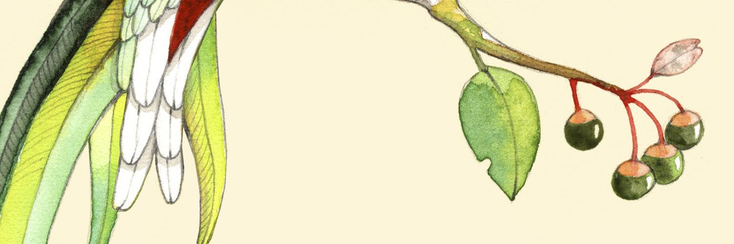 joojoopaper's profile banner image