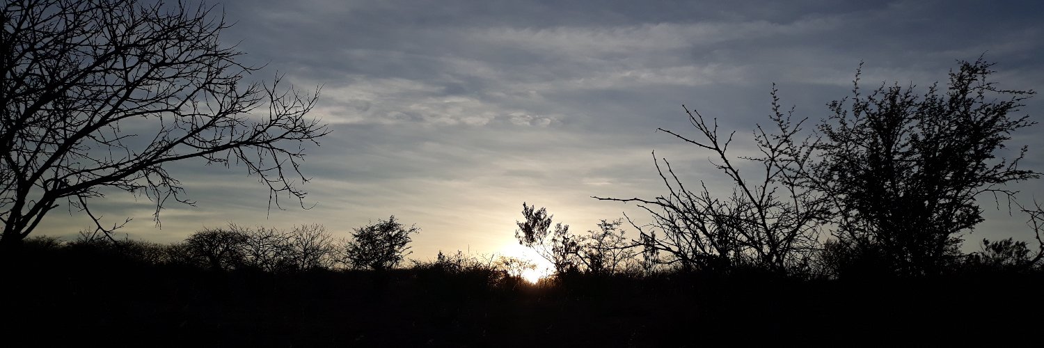 Gemma_Rusher's profile banner image