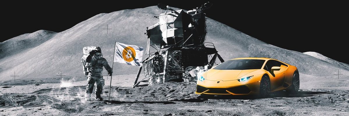 zeddthedev's profile banner image