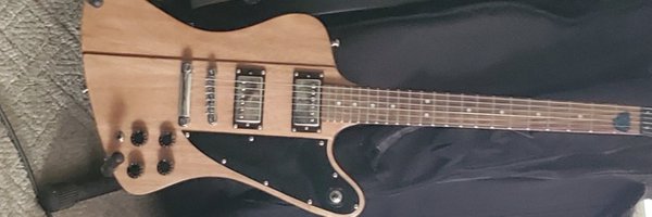 gitman1251 Profile Banner