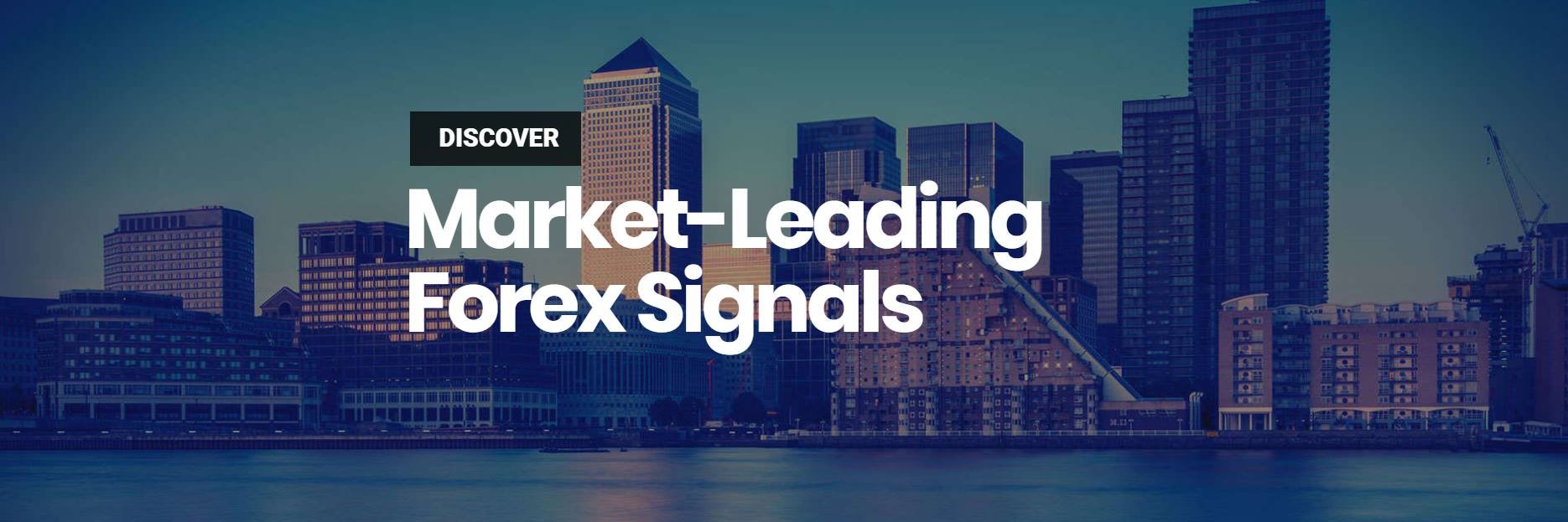 forexSignalsDFS's profile banner image