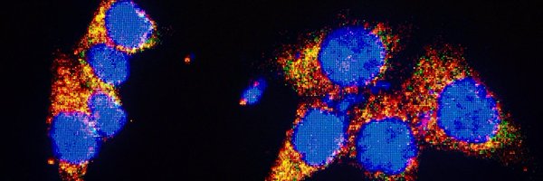 BeaMalacrida Profile Banner