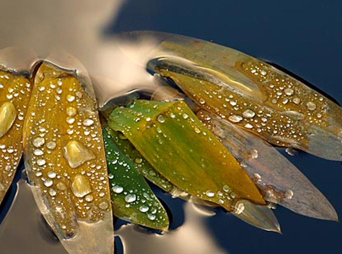 ocoalomaem's profile banner image