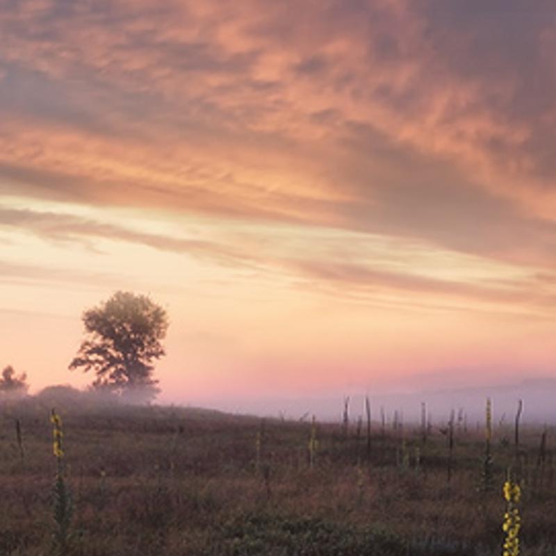 htaruseca's profile banner image