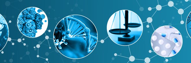 Global Health Bioethics banner