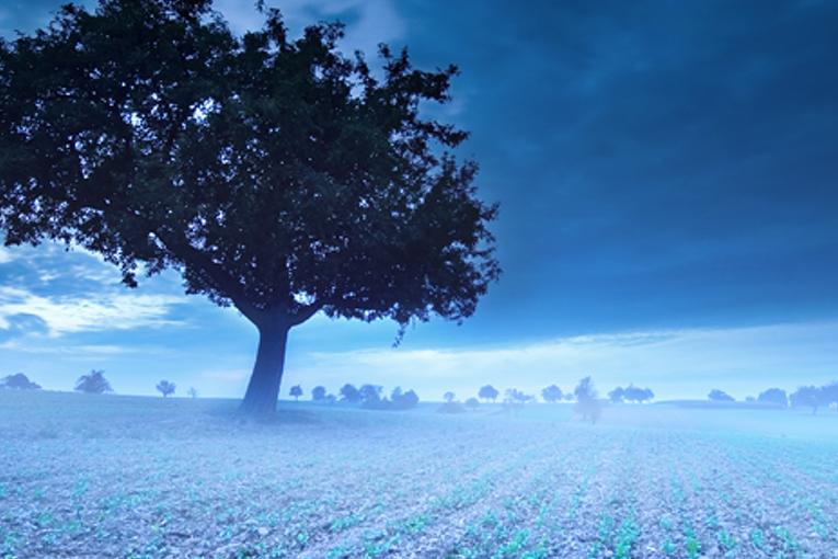 apatalag's profile banner image