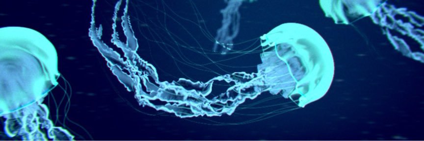 inkcdpages's profile banner image