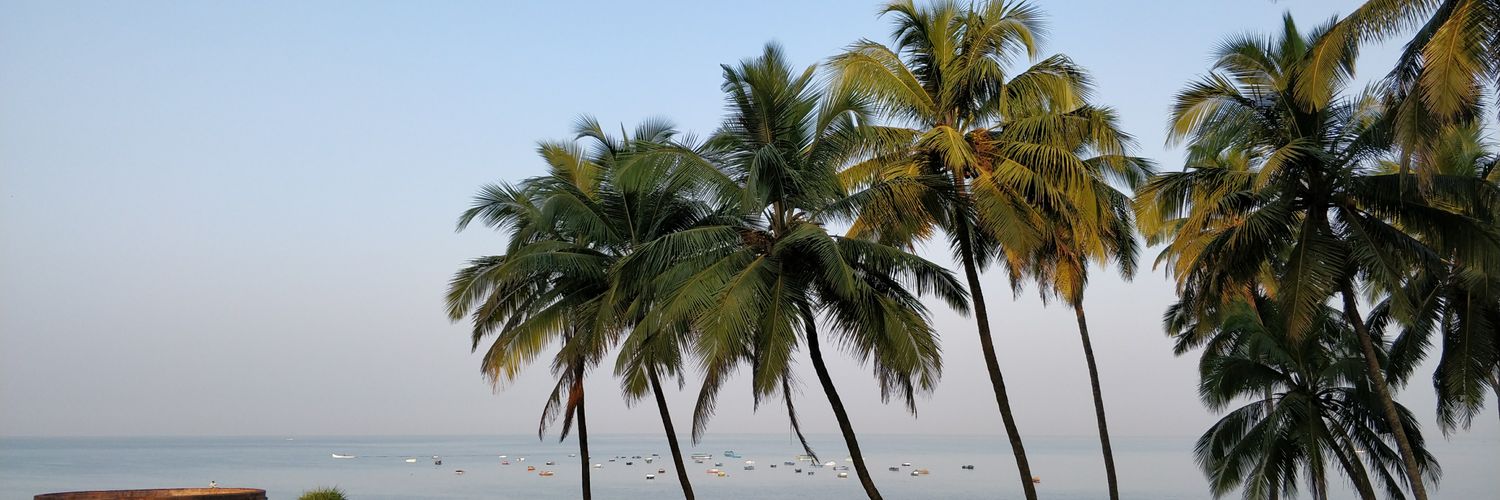 bprataps1's profile banner image
