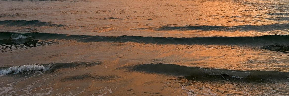 piliapud's profile banner image
