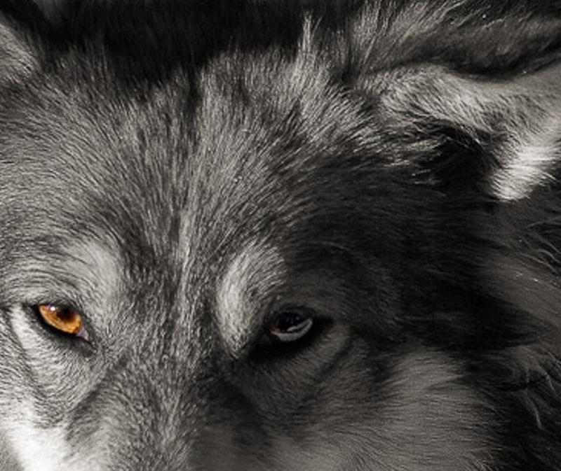 amicatir's profile banner image
