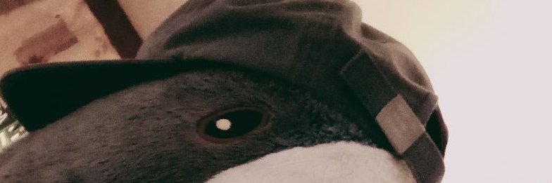 Enkeight banner