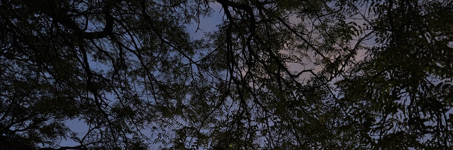 Deannjrr's profile banner image