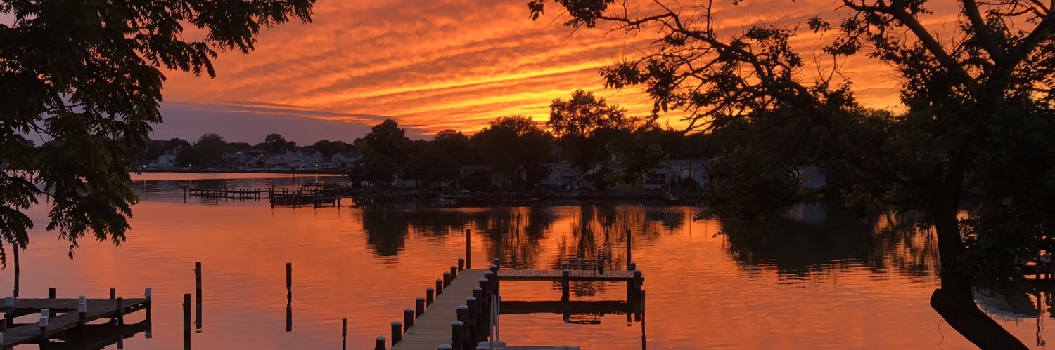 Stacey J Sharp-Brown banner