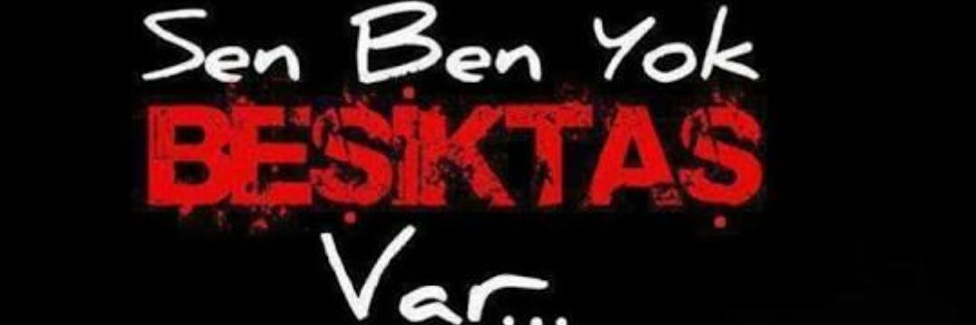 asuseylem91's profile banner image