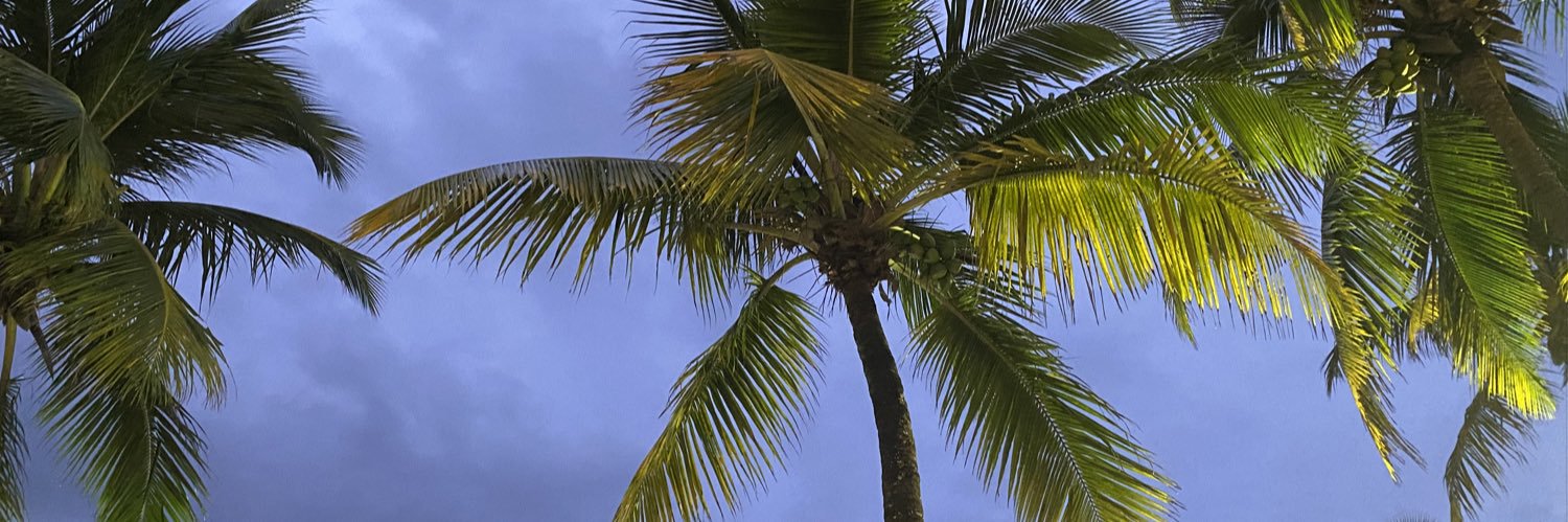 kailatsm's profile banner image