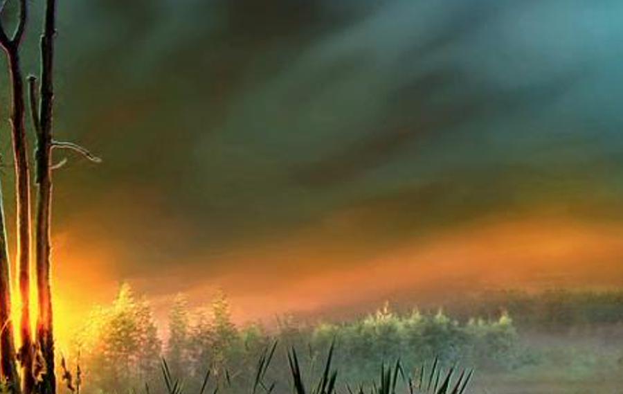 whrywit's profile banner image