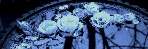 kcandreu's profile banner image