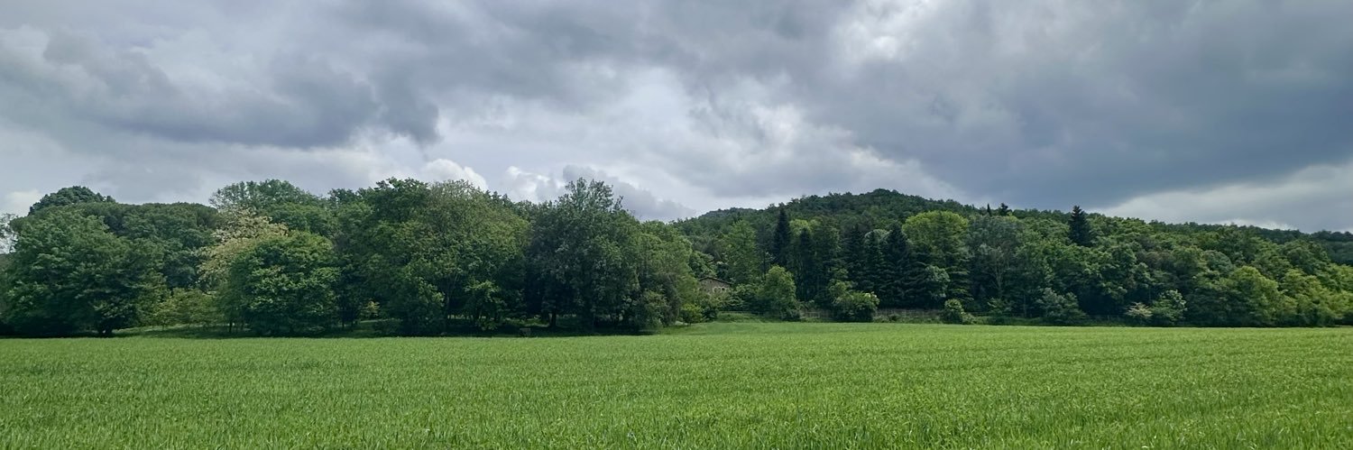 Titidelebre's profile banner image