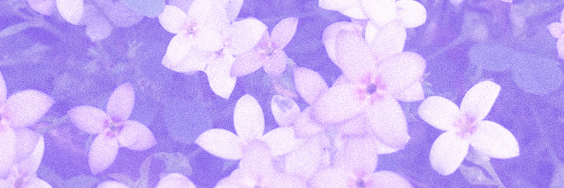 PLUS100 Records banner