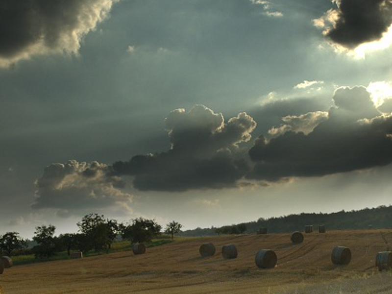 micimpra's profile banner image