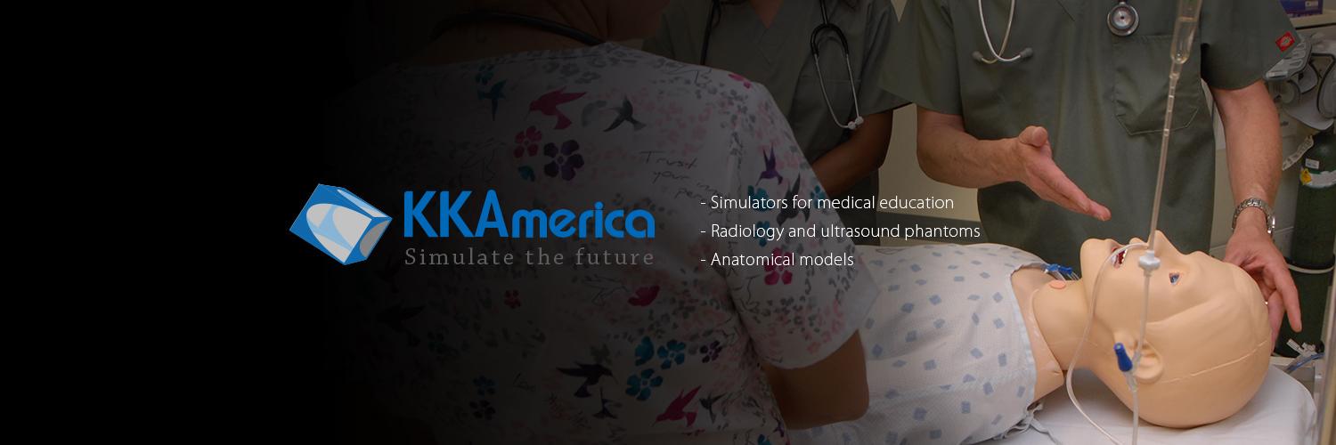 Kyoto Kagaku America Inc. banner
