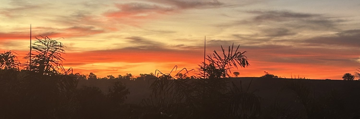AnaSalzman1's profile banner image