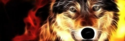 Un_lobo's profile banner image