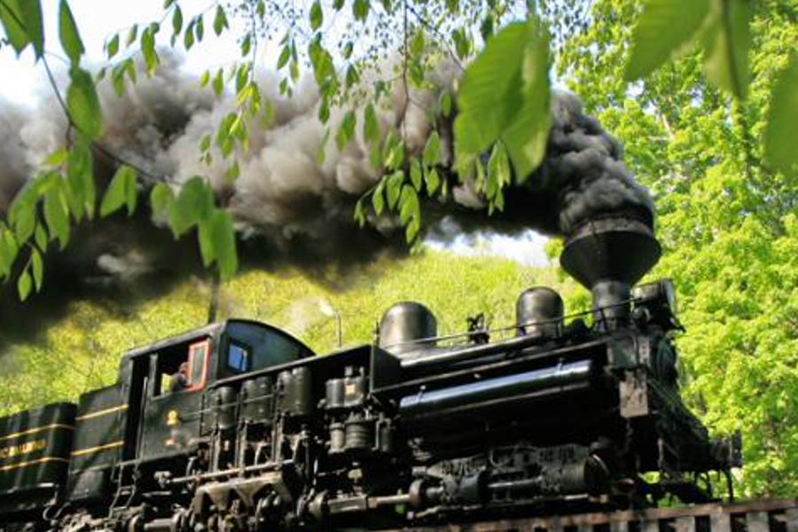 nedvon's profile banner image