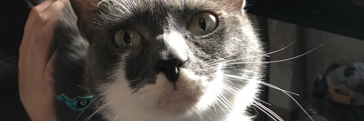 AmphaRoss18's profile banner image