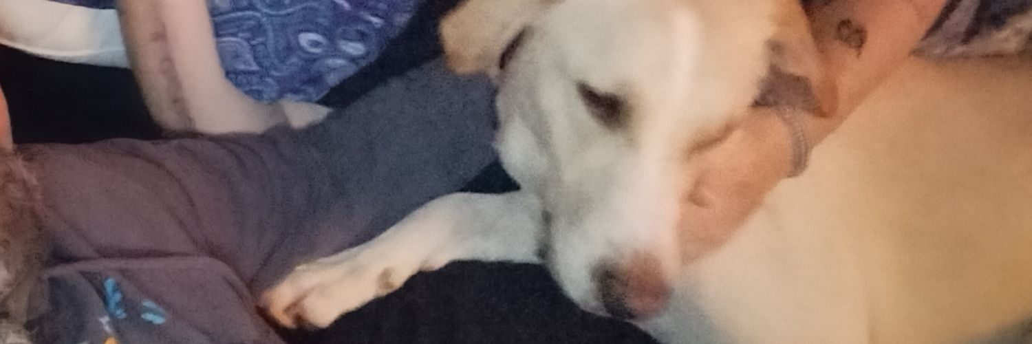 realoutermost's profile banner image