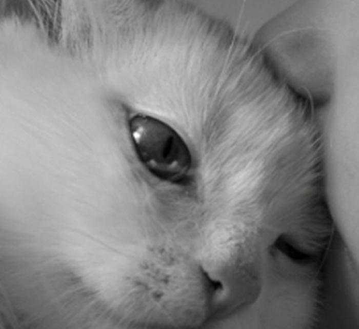 ileispas's profile banner image